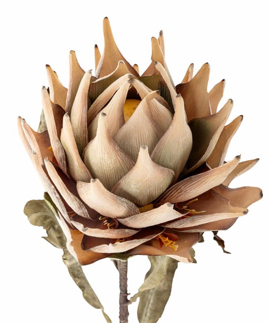 Protester stilk natur d20 h76 cm