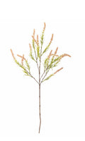 Foxtail stilk rosa ø25 h76 cm