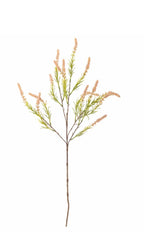 Foxtail stilk rosa ø25 h76 cm