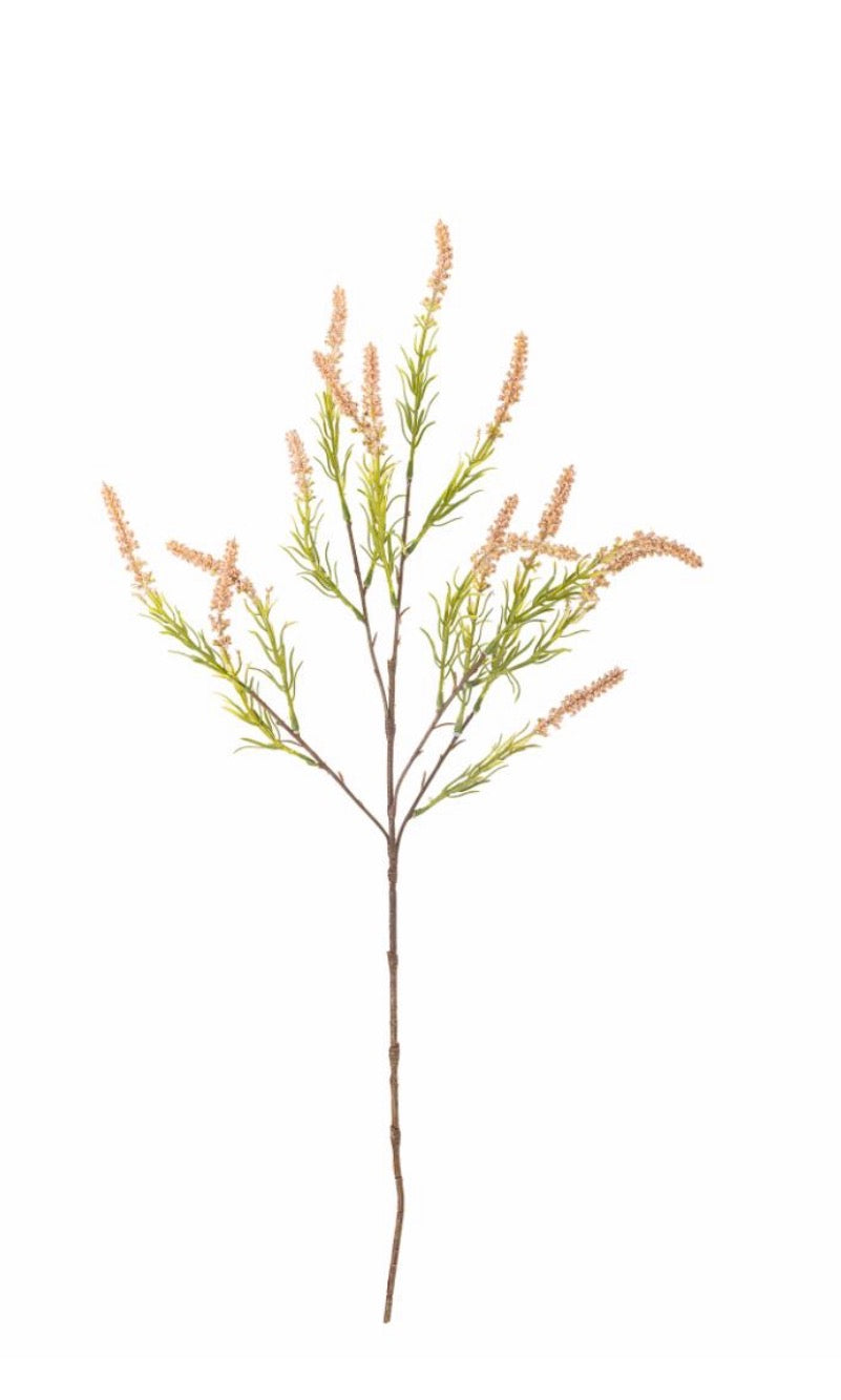 Foxtail stilk rosa ø25 h76 cm
