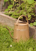 Vann kanne 2,3L