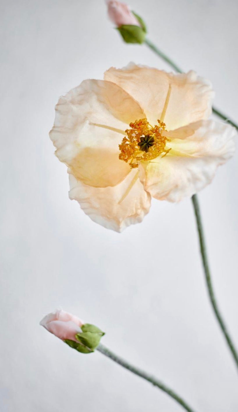 Poppy stilk natur ø16 h104 cm