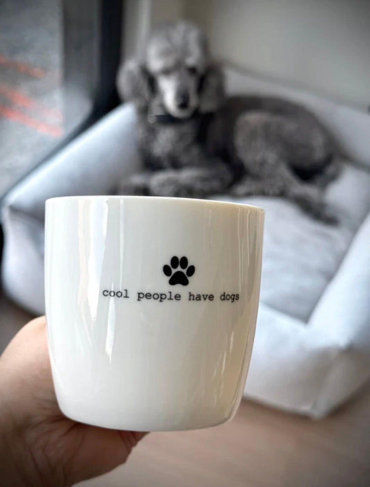 Krus "Cool people have dogs"