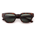 Kaws Demi tortoise