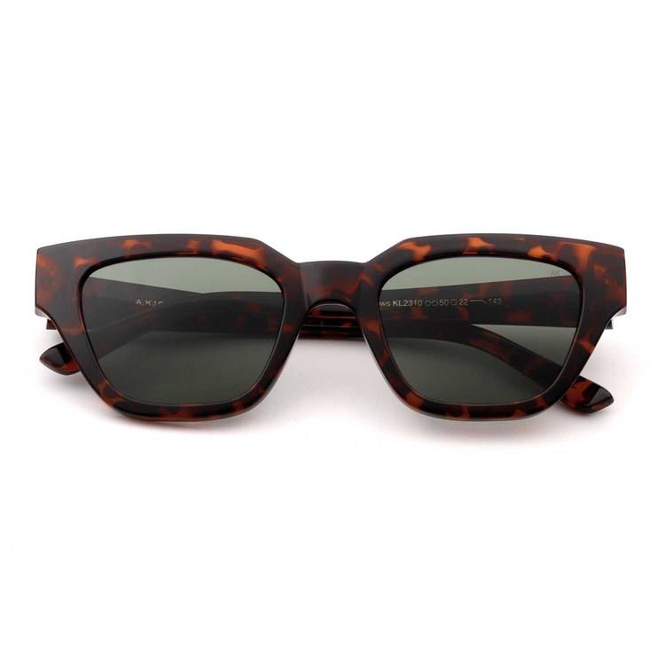 Kaws Demi tortoise