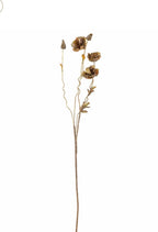 Poppet stilk brun ø16 h104 cm