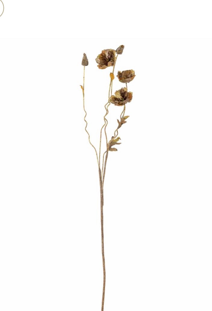 Poppet stilk brun ø16 h104 cm