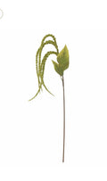 Foxtail stilk grønn d13 h107 cm