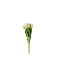 Tulipaner bunt 7 stk