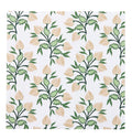 Servietter 20x20 Divya Parrot