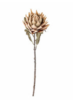 Protester stilk natur d20 h76 cm