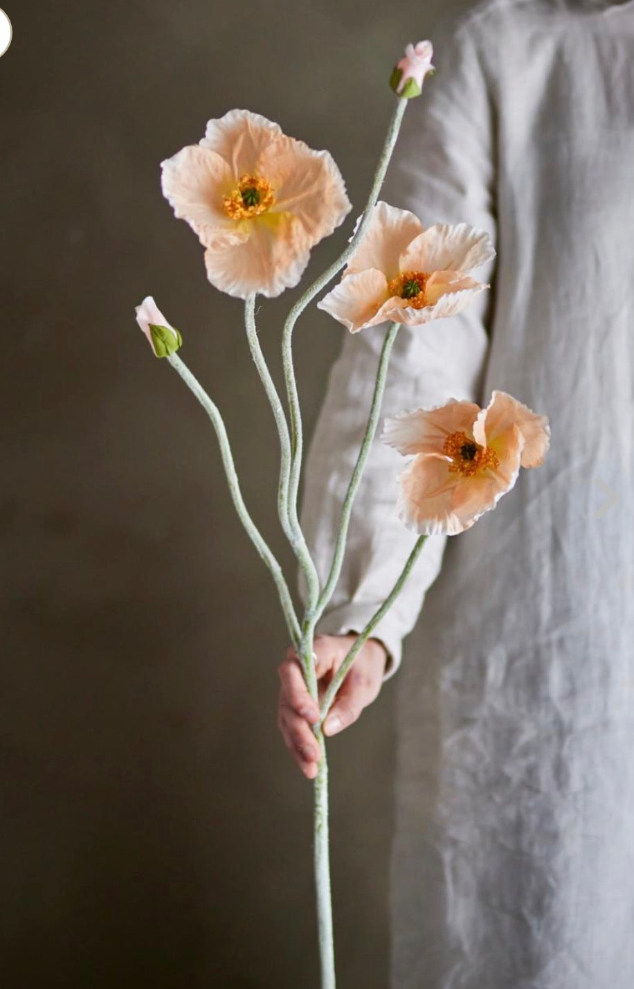 Poppy stilk natur ø16 h104 cm