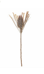 Palmflower stilk brun ø21 h72 cm