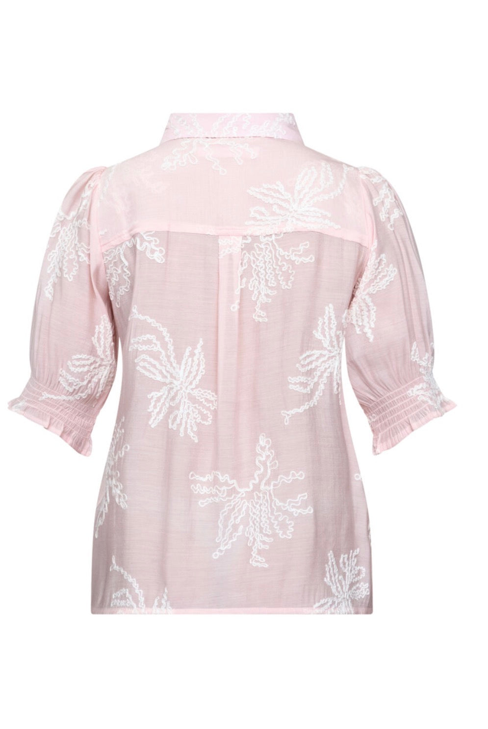 Isola ss13