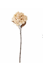 Hydrangea stilk natur d20 h65 cm